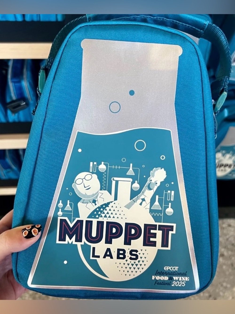 Disney Parks Muppets Insulated Lunch Box Bag
